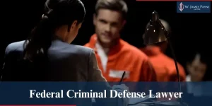 Federal Criminal Defense Attorney