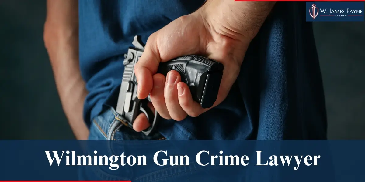 hire best gun crime lawyer